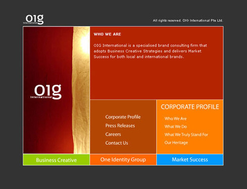 OIG website screenshot 3