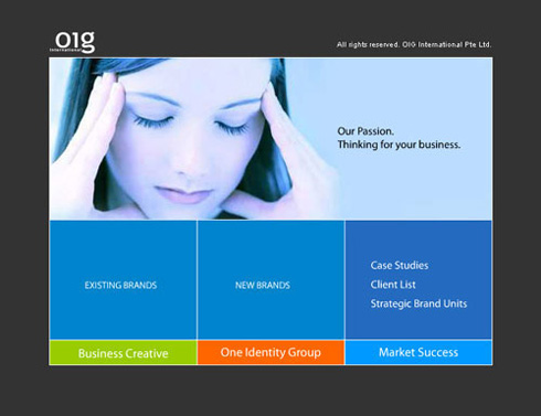 OIG website screenshot 4