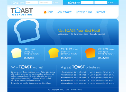 Toast Webhosting Website